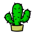 The Cactus Pin.