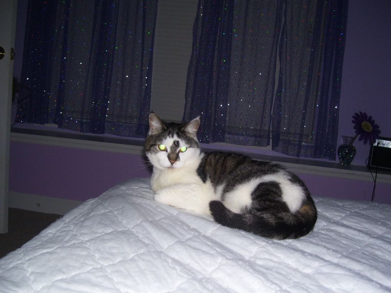File:100 0701.jpg