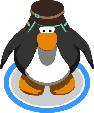 BrownTealCap2.png