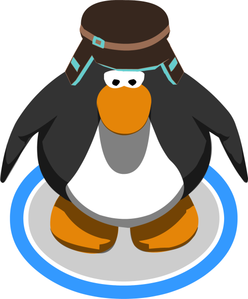 File:BrownTealCap2.png