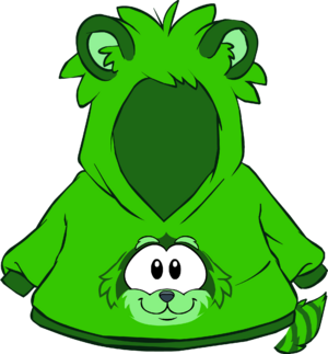 GreenRaccoonHoodie.PNG