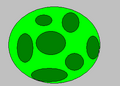 Thumbnail for version as of 15:49, 28 August 2024
