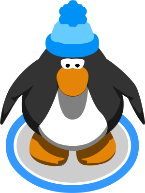 BluePomPomToque2.png