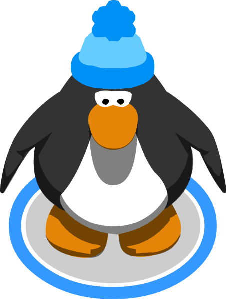File:BluePomPomToque2.png