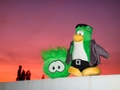A Frankenstein penguin and a green puffle.