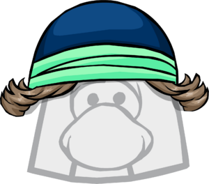 CoolSkiBeanieNew.PNG