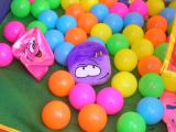 A purple puffle in a ball pit.