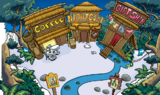 The Town