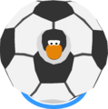 The Soccer Ball Costume in-game.