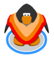 The Poncho in-game.