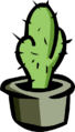 Small Cactus