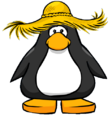 The Straw Hat on a player card.