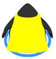 The cape in-game(back view)