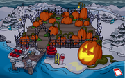 The Dock