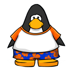 HawaiianShirt1.png