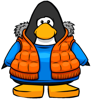 OrangeVest1.png