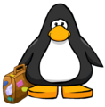 The Stuffed Suitcase on a player card.