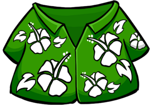 Hawaiian Shirt.png