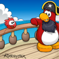 The third Rockhopper Background