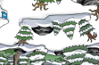 A Sneak Peek of the Forest during the April Fool's Day 2010.