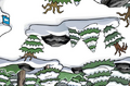 A Sneak Peek of the Forest during the April Fool's Day 2010.