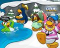 The characters swimming, and watching.