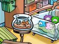A Goldfish in a bowl at the old Pet Shop.