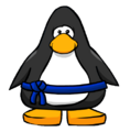The Blue Ninja Belt on a player card.