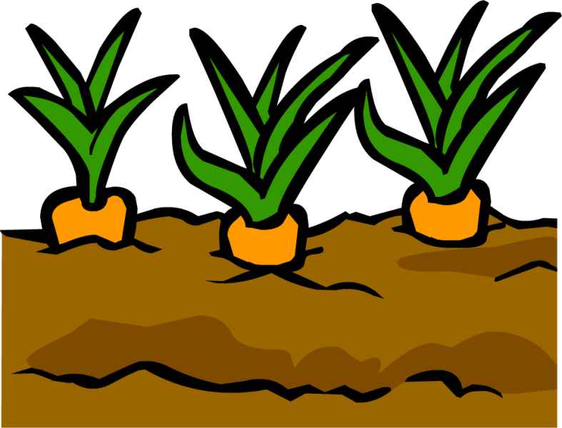 File:Garden.png