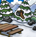 The pin's location.