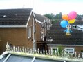 A Golden Viking Helmet penguin attached to balloons.