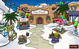 The Ski Village