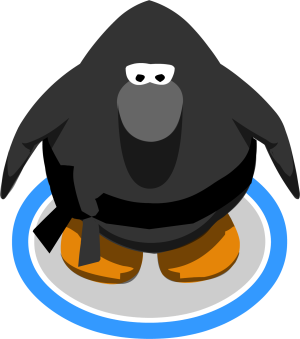 NinjaOutfit2.png