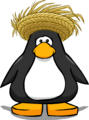 The Straw Sun Hat on a player card.