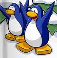 The two penguins at the end of Sled Racing with Old Blue during a newspaper interview with Aunt Arctic.