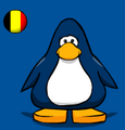 The flag on a player card.