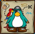 My Pirate Penguin