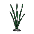 Sea weed