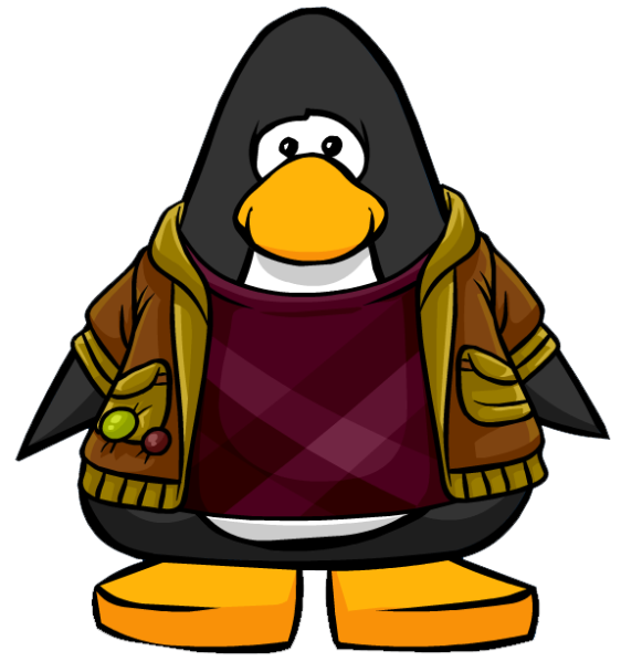 File:CityTopandJacket1.png