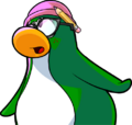 Aunt Arctic looking at the meteor.