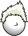 The Coconut