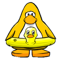 The duck on a player card.