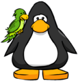 The Green Parrot, on a player card.