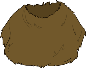 WookieCostume.PNG