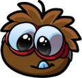 A Brown Puffle in the postcard you receive after adopting a puffle. (Mar. 2011)