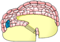 The Candy Split Level Igloo in-game.