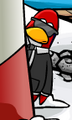 A Secret Agent, formerly found on the main page of Club Penguin.com.