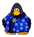 The Blizzard Wizard Robe on a player card.
