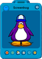 Screenhog's player card.