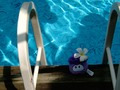 A purple puffle with a flower on its head and on a pool.